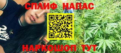 a pvp Аша